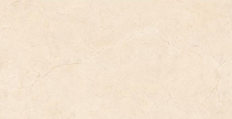 9816 D-image