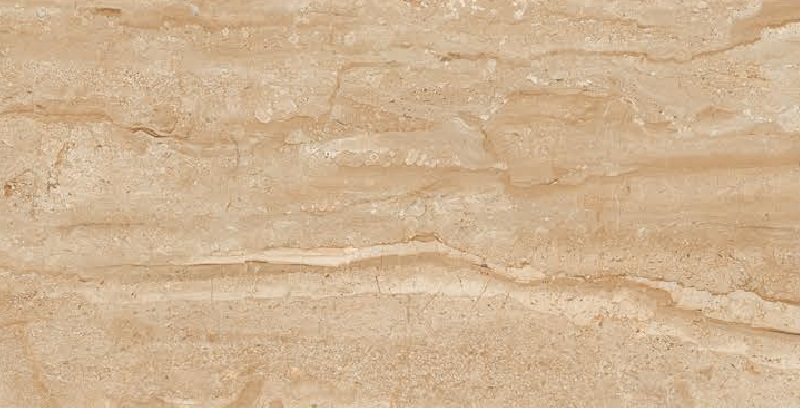 9826 D-image