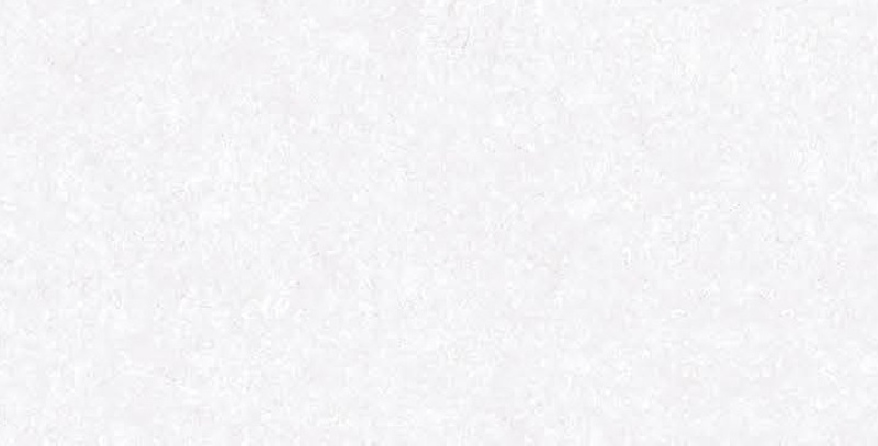9829 L-image