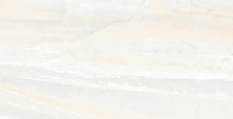 9830 L-image