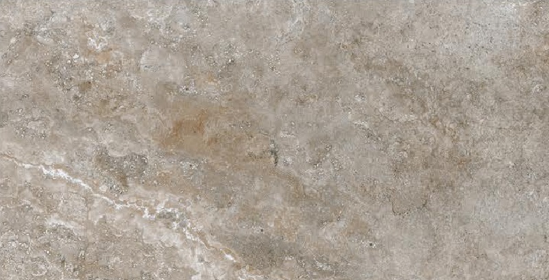 9844 D-image