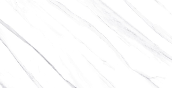 AIDEN STATUARIO-image