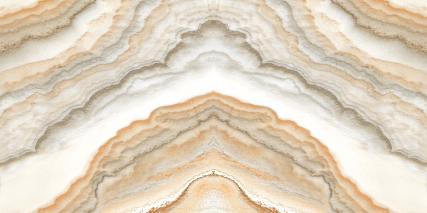 BOOK241-image