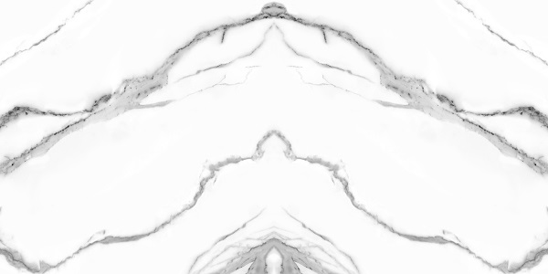 BOOK246-image