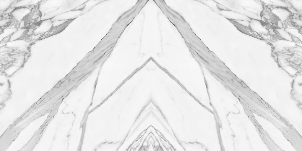 BOOK249-image