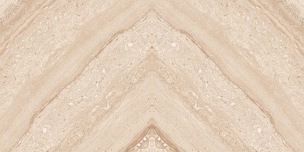 BOOK253-image