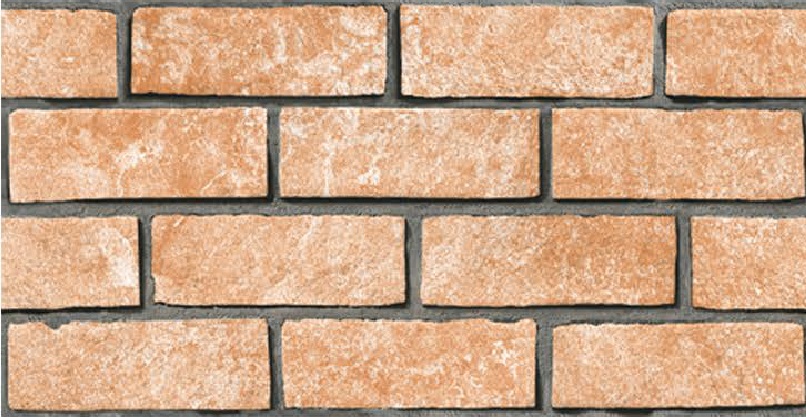 CORTEX ROSA MATRIX-image