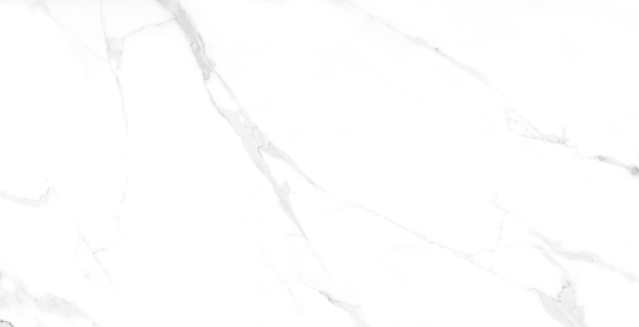 COSTA-WHITE-image