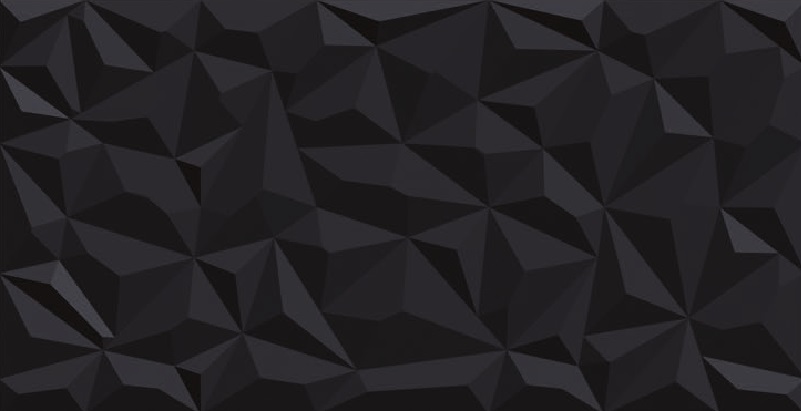 FOSSIL NERO SPARKLE-image