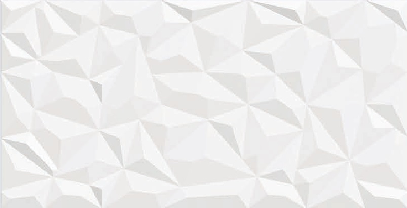 FOSSIL WHITE CRYSTAL-image