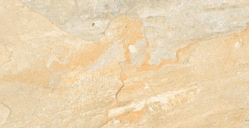 R 7143 L-image