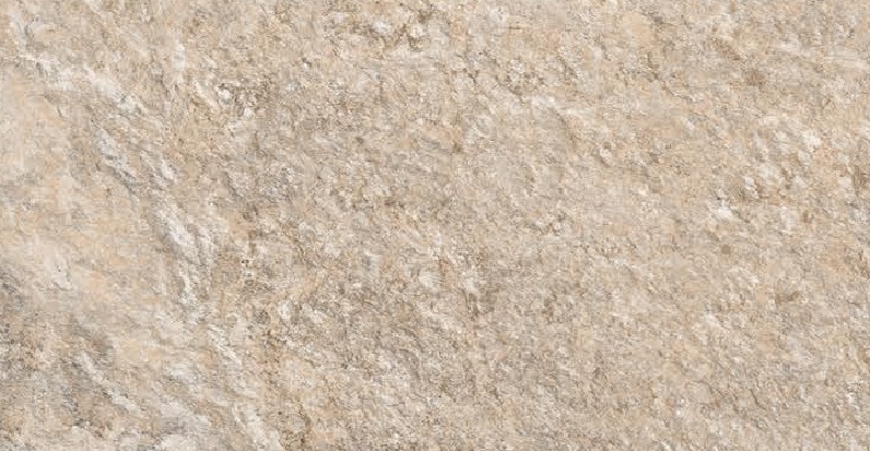 R 7144 D-image
